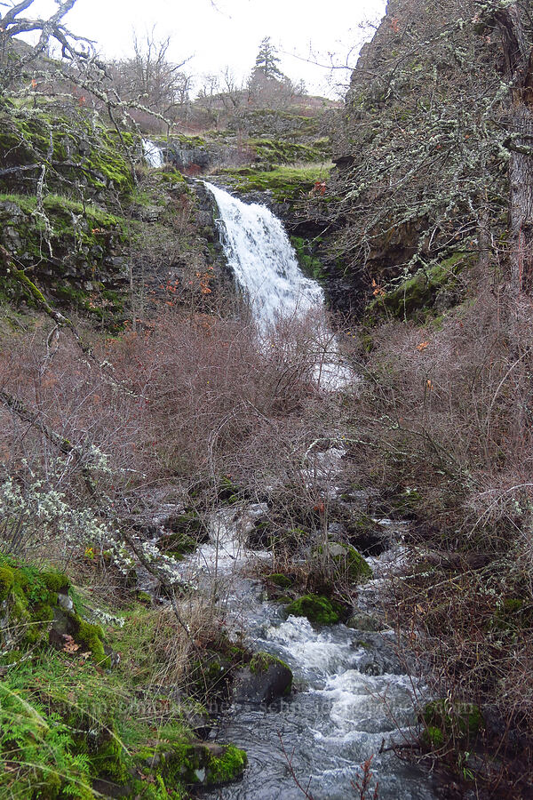 Upper Labyrinth Falls [The Labyrinth, Gifford Pinchot National Forest, Klickitat County, Washington]