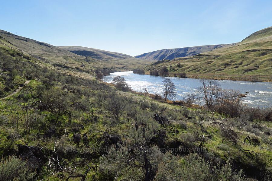 Deschutes River [Riverview Trail, Deschutes River State Recreation Area, Sherman County, Oregon]