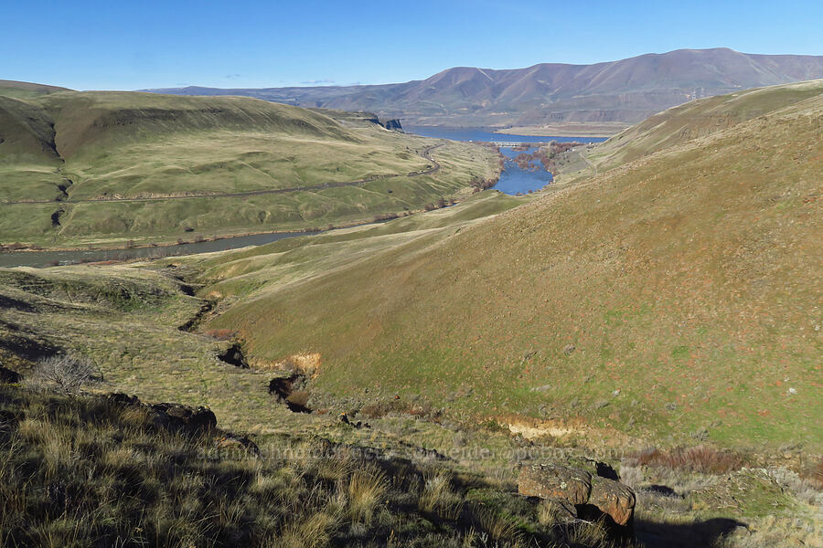 Ferry Springs Canyon & the Deschutes River [Ferry Springs Trail, Deschutes River State Recreation Area, Sherman County, Oregon]