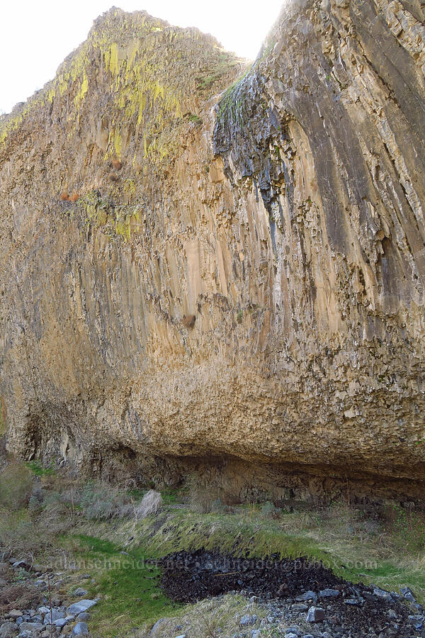 mostly dry waterfall [above Lost Corral Trail, Cottonwood Canyon State Park, Gilliam County, Oregon]
