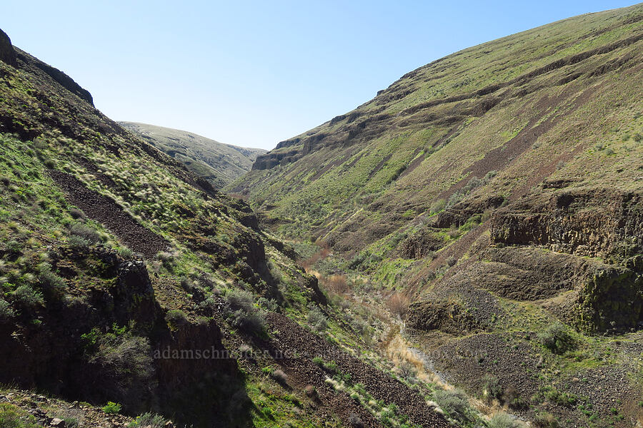 hanging valley [above Lost Corral Trail, Cottonwood Canyon State Park, Gilliam County, Oregon]