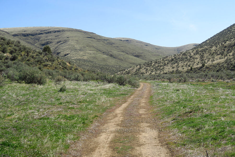 Esau Canyon [Esau Canyon, Cottonwood Canyon State Park, Gilliam County, Oregon]