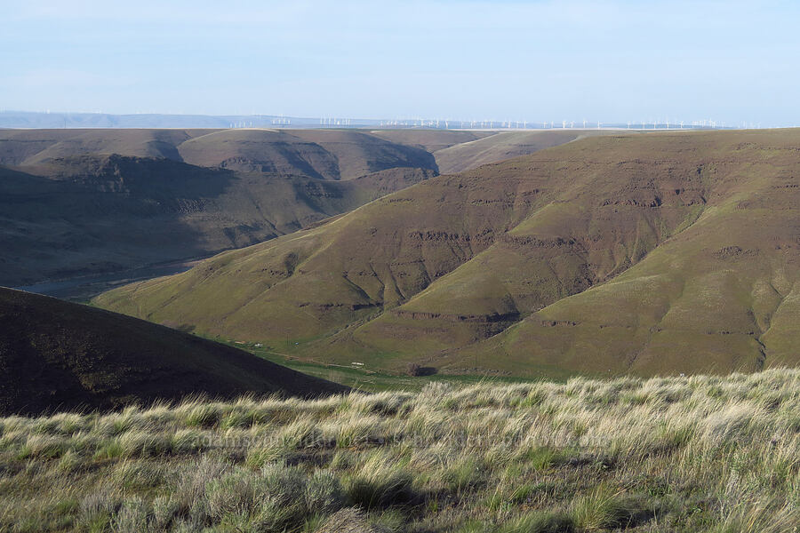 John Day River Canyon [Starvation Lane, Sherman County, Oregon]