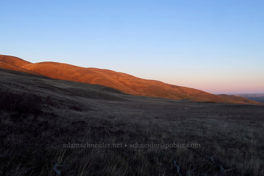 Columbia Hills at sunset [Dalles Mountain Ranch, Columbia Hills State Park, Klickitat County, Washington]