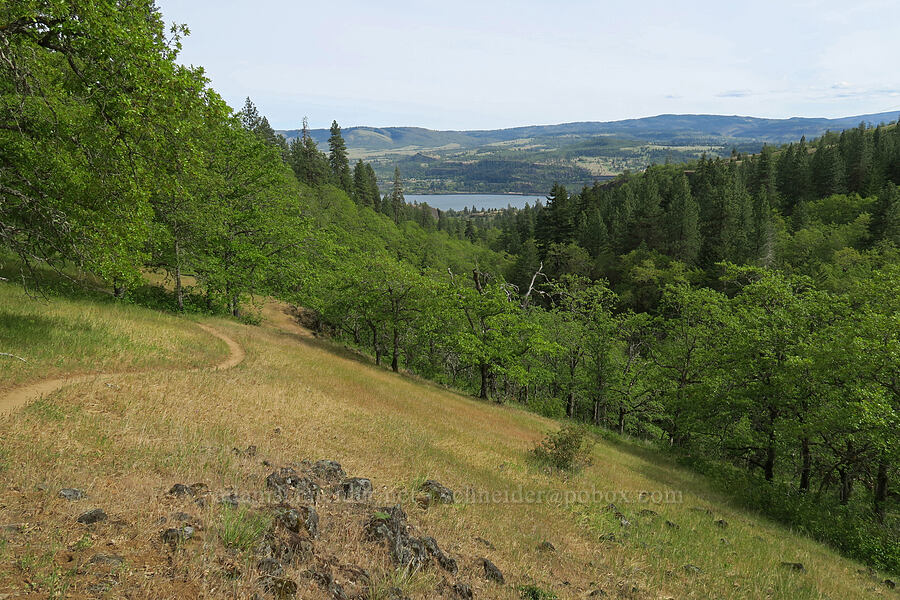 Columbia River [Tracy Hill, Klickitat County, Washington]