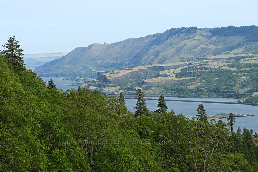 Columbia River & Rowena Plateau [Tracy Hill, Klickitat County, Washington]