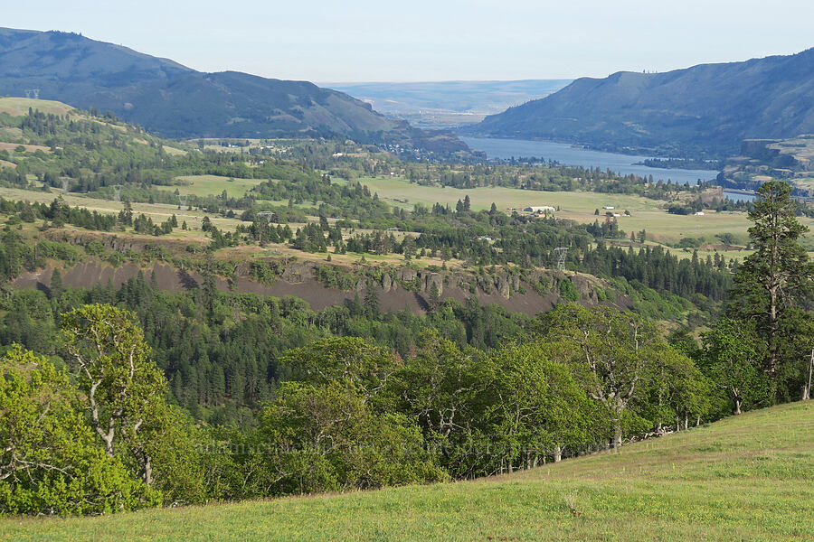 Major Creek Canyon & the Columbia River [Tracy Hill, Klickitat County, Washington]