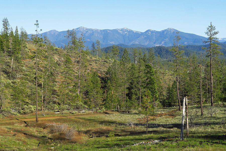 snow on the western Siskiyous [Eight Dollar Mountain ACEC, Josephine County, Oregon]