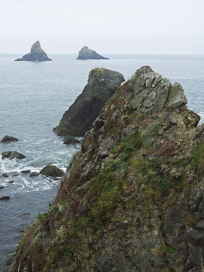 Twin Rocks [Cape Ferrelo, Curry County, Oregon]