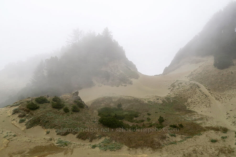 Indian Sands [Indian Sands Trail, Curry County, Oregon]