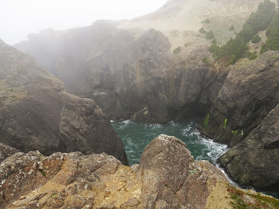 rugged cove [Indian Sands Trail, Curry County, Oregon]