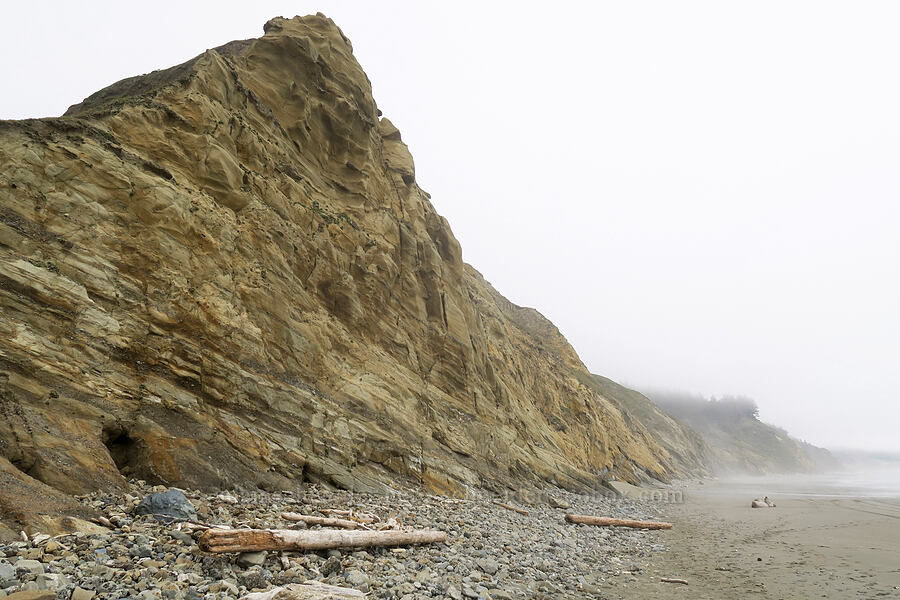 sandstone cliffs [Cape Blanco State Park, Curry County, Oregon]
