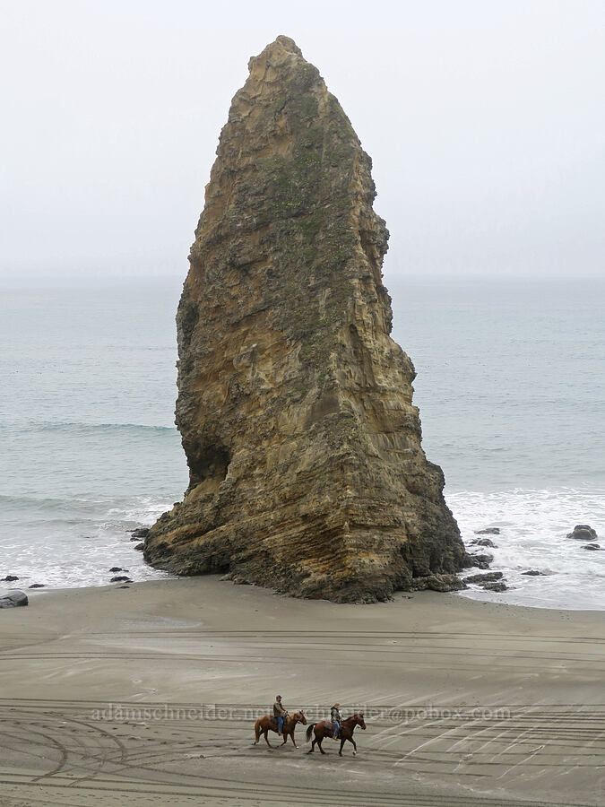 Needle Rock & horseback riders [Cape Blanco State Park, Curry County, Oregon]