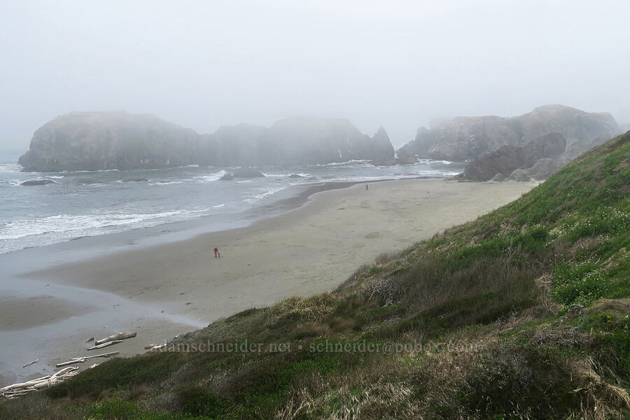 Coquille Point [Coquille Point, Coos County, Oregon]