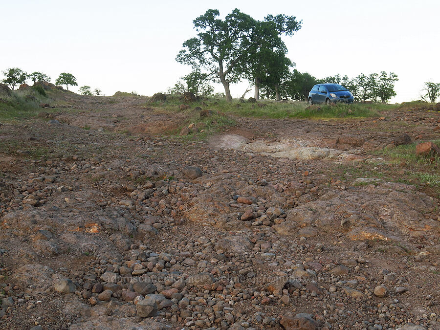terrible road [Hogsback Road, Tehama County, California]