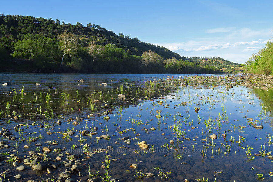 Sacramento River [Sacramento River Bend Outstanding Natural Area, Tehama County, California]
