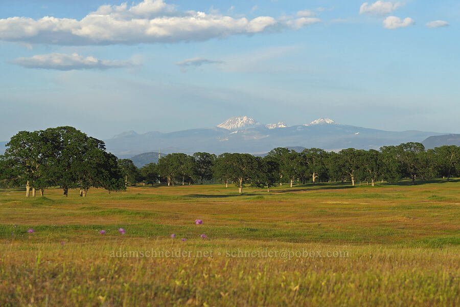 Lassen Peak [Jellys Ferry Road, Tehama County, California]