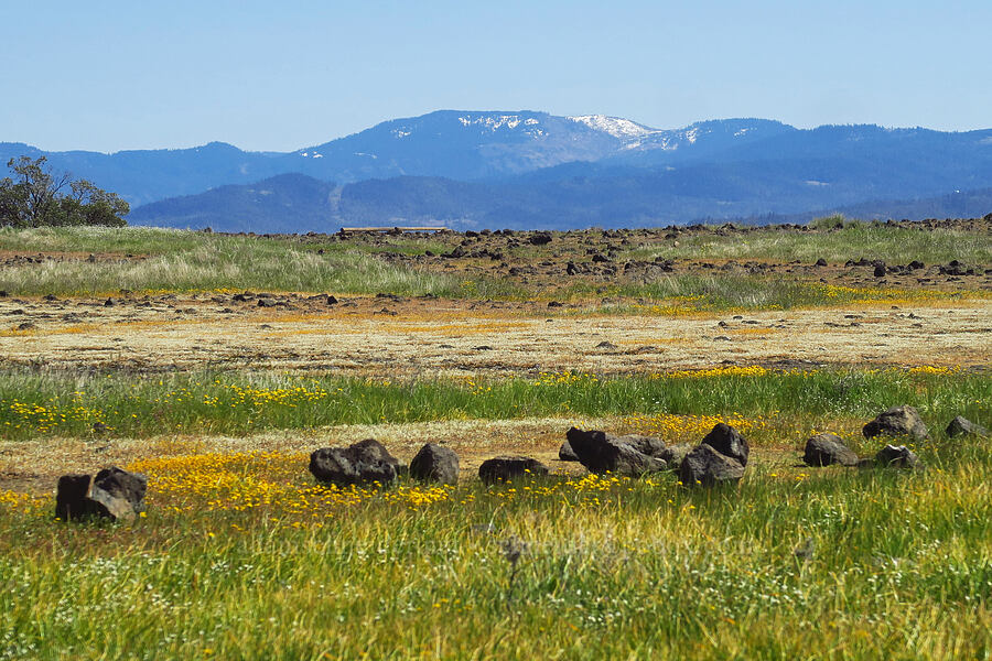 view toward Grizzly Peak [Upper Table Rock, Jackson County, Oregon]