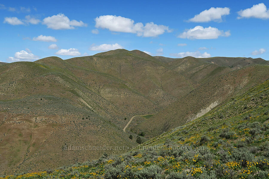 Jordan Creek Gulch [Lookout Mountain Road, Baker County, Oregon]