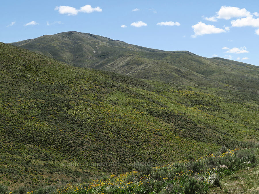Morgan Mountain [Lookout Mountain Road, Baker County, Oregon]