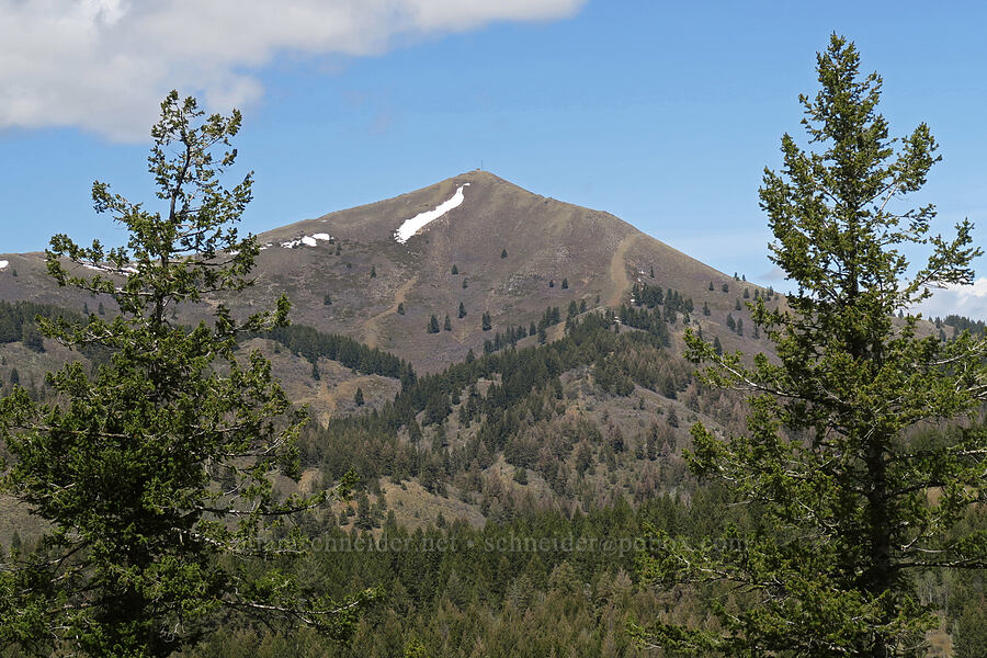 Big Lookout Mountain [Lookout Mountain Road, Baker County, Oregon]