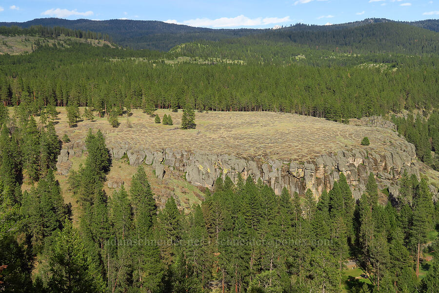 plateau across the creek [Catherine Creek State Park, Union County, Oregon]