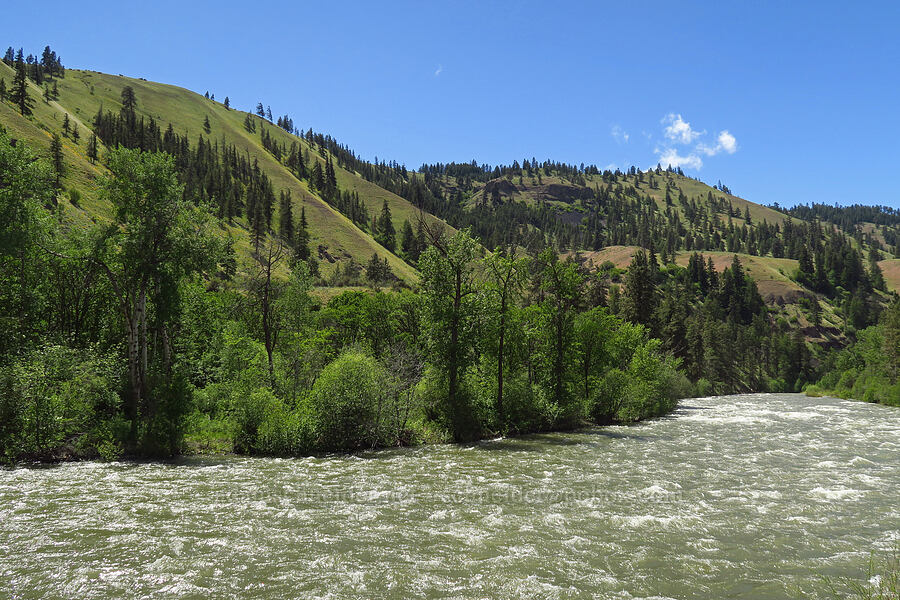 Naches River [State Highway 410, Yakima County, Washington]