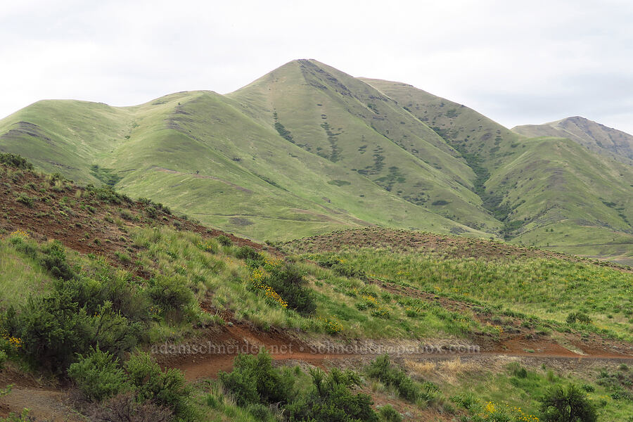 Peak 4467 [Woodhead Park, Washington County, Idaho]
