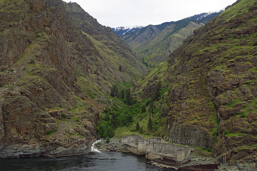 Deep Creek [Hells Canyon Rapids Road, Wallowa County, Oregon]
