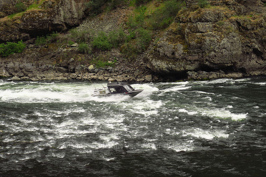 motorboat in Cliff Mountain Rapids [Stud Creek Trail, Wallowa-Whitman National Forest, Wallowa County, Oregon]
