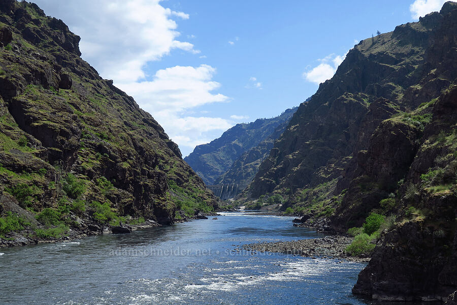 Hells Canyon [Stud Creek Trail, Wallowa-Whitman National Forest, Wallowa County, Oregon]