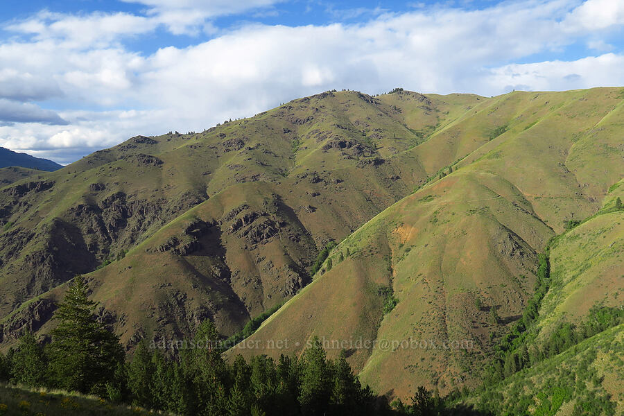 Lynes Point Ridge [Kleinschmidt Grade, Payette National Forest, Adams County, Idaho]