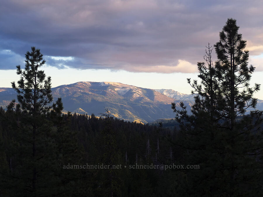 Summers Point, Cuddy Mountains [Council-Cuprum Road, Payette National Forest, Adams County, Idaho]