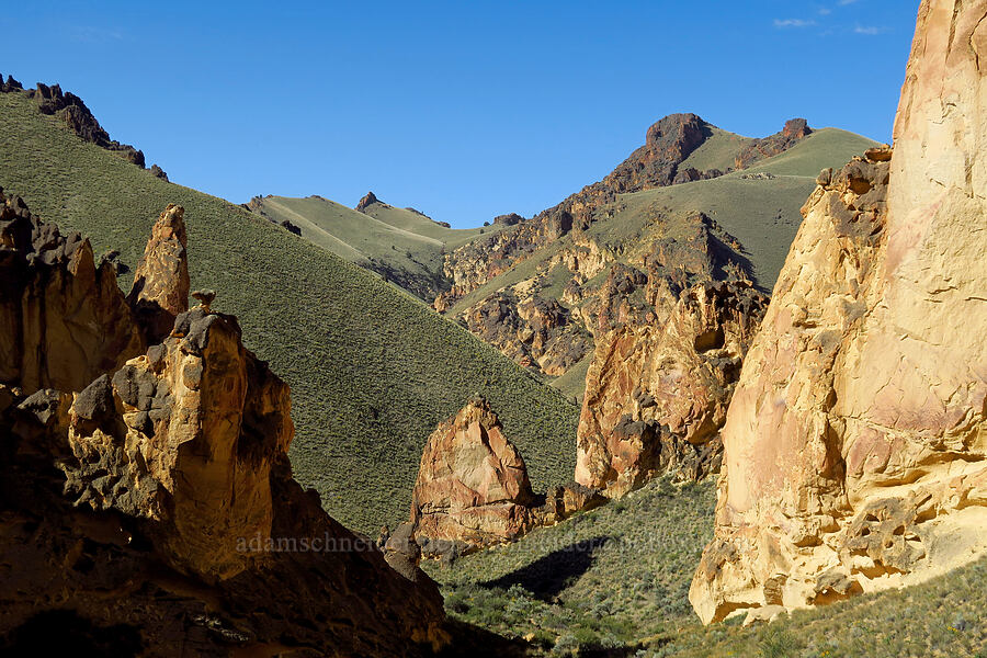 view across Leslie Gulch [Timber Gulch, Malheur County, Oregon]