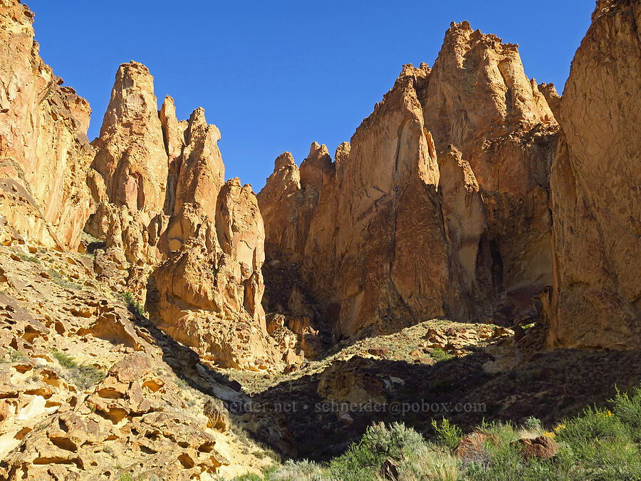 upper end of Timber Gulch [Timber Gulch, Malheur County, Oregon]
