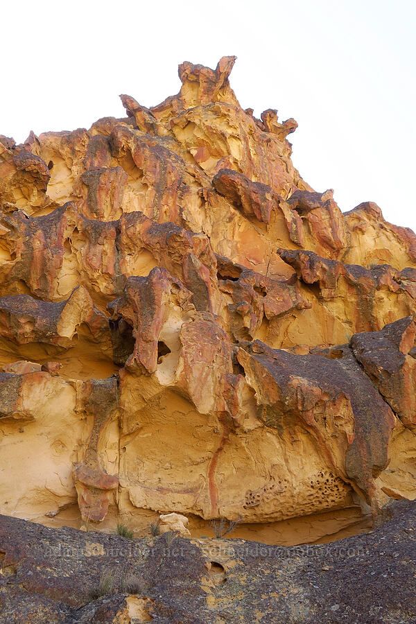 weird tuff formations [above Timber Gulch, Malheur County, Oregon]