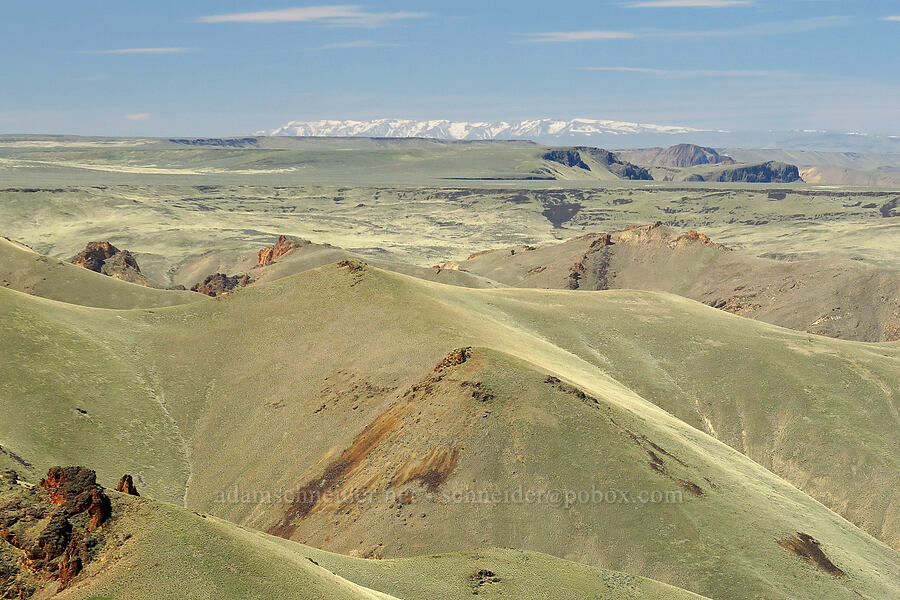 view toward Steens Mountain [The Yellow Jacket, Malheur County, Oregon]