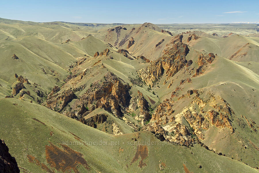 view across Leslie Gulch [The Yellow Jacket, Malheur County, Oregon]
