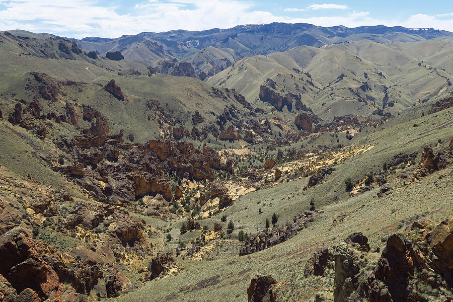 Juniper Gulch [above Juniper Gulch, Malheur County, Oregon]