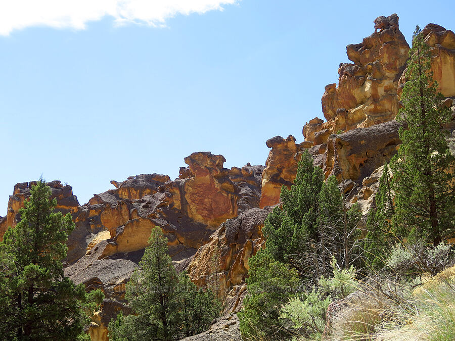 tuff hoodoos [Juniper Gulch, Malheur County, Oregon]