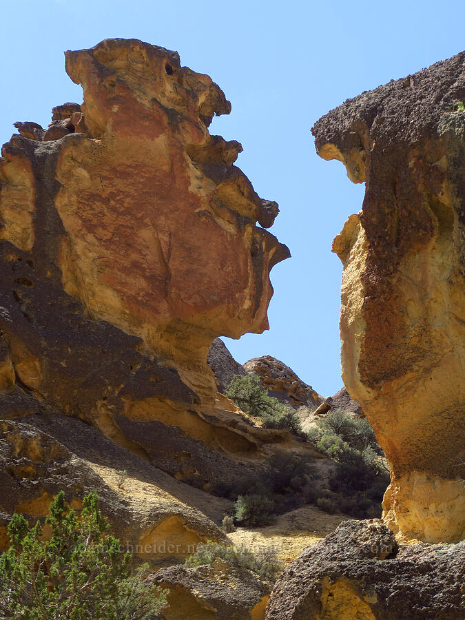 tuff hoodoos [Juniper Gulch, Malheur County, Oregon]