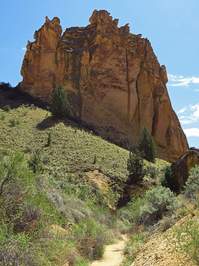tuff hoodoos [Juniper Gulch, Malheur County, Oregon]