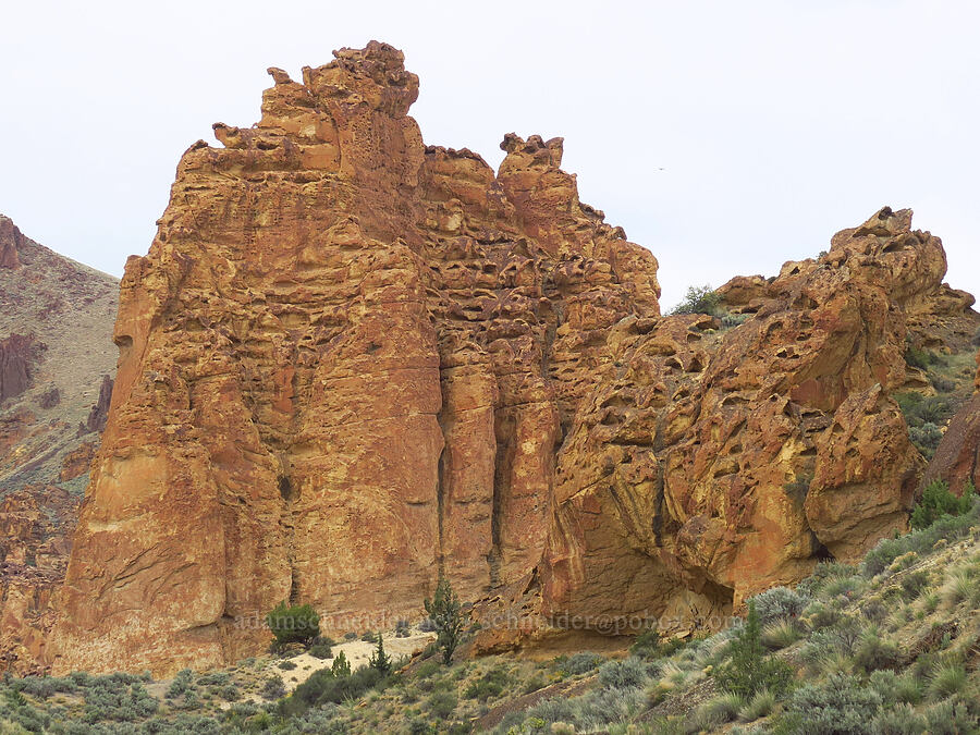 tuff formations & honeycomb erosion [Leslie Gulch, Malheur County, Oregon]