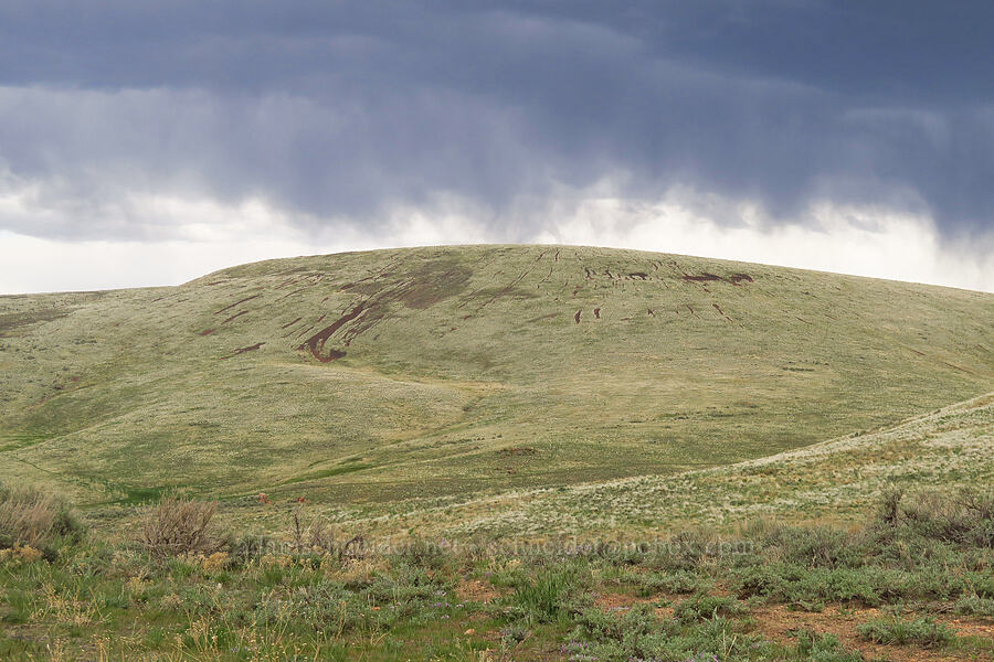 rain clouds & rock runnels [Leslie Gulch Road, Malheur County, Oregon]