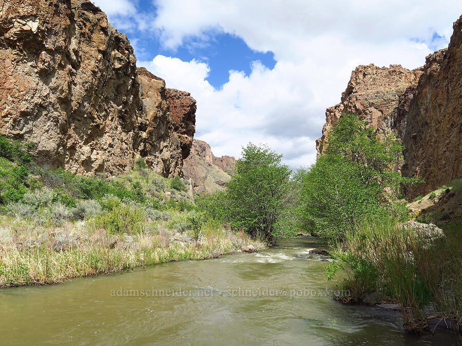 Succor Creek [Succor Creek State Natural Area, Malheur County, Oregon]