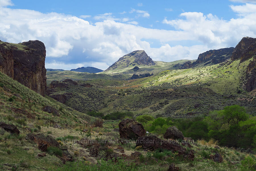 Negro Rock & Succor Creek Canyon [Succor Creek State Natural Area, Malheur County, Oregon]
