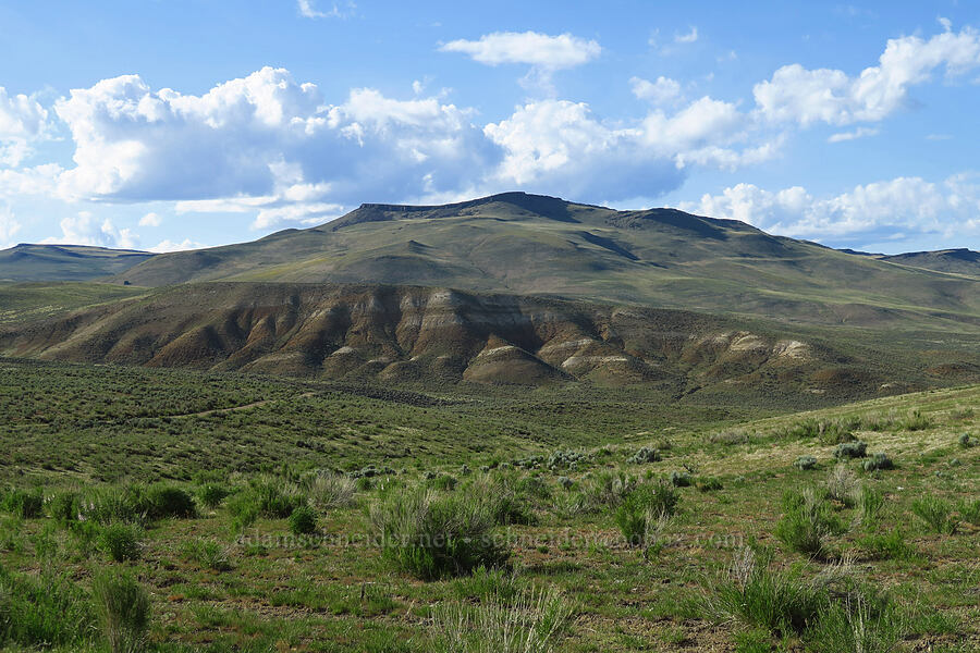 Board Corral Mountain & clay hills [McIntyre Spring Road, Malheur County, Oregon]