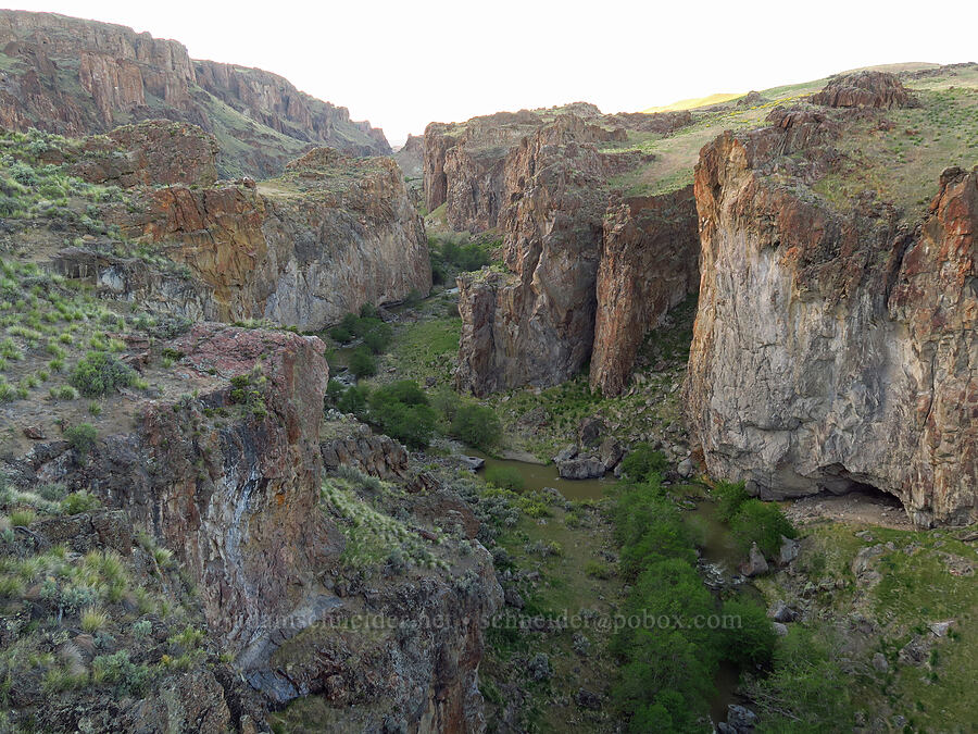 Succor Creek Canyon [Succor Creek Road, Malheur County, Oregon]