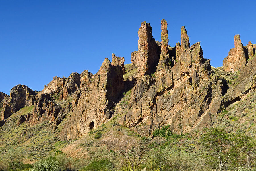 rock pinnacles [Succor Creek State Natural Area, Malheur County, Oregon]