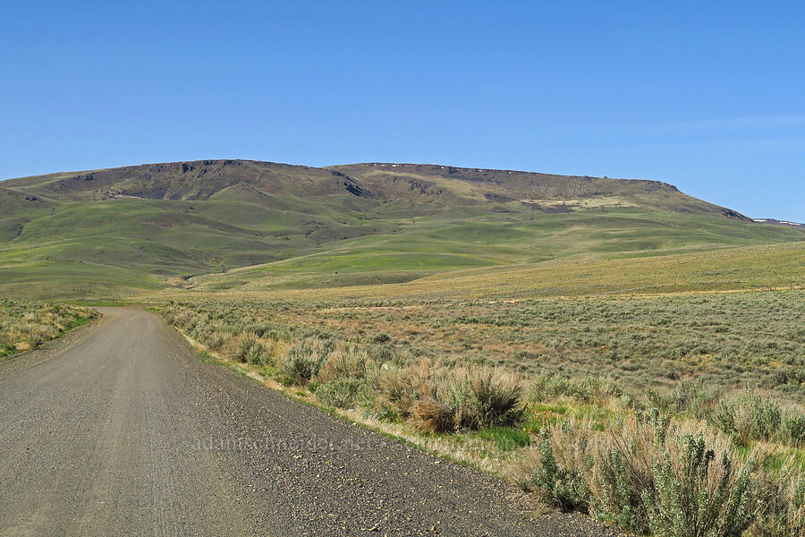 Spring Mountain [Succor Creek Road, Malheur County, Oregon]
